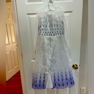 Frozen 2 Elsa Costume